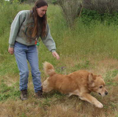 Tiger,  CH Sherwood's Let's Play A Round CD NA NAJ